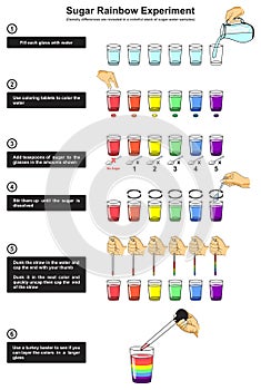 Sugar rainbow experiment infographic diagram density concept