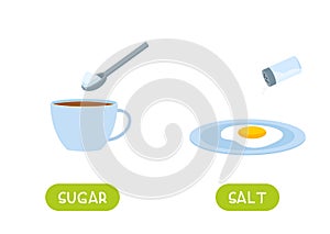 SUGAR and SALT antonyms word card vector template. Flashcard for