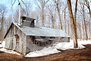 Sugar shack