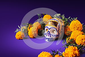 Sugar skull in a purple background