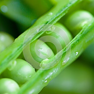 Sugar snap peas