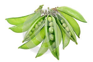 Sugar Snap Peas