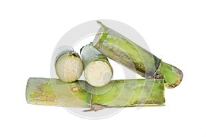 Sugarcane