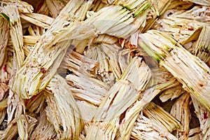 Sugarcane bagasse photo