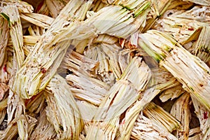 Sugarcane bagasse