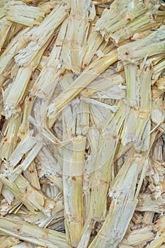 Sugarcane bagasse.