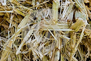 Sugarcane Bagasse. Close up of bagasse is the fibrous material left over from the sugarcane extraction process of sugar factory i