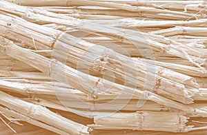 Sugarcane bagasse - the waste of sugar manufacture