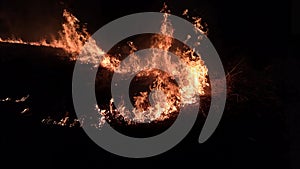 Sugarcane field fire at night