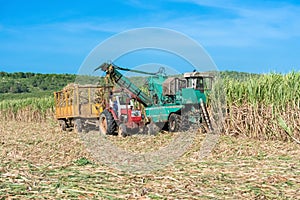 Sugarcane harvest on the field with a combine harvester - Serie Cuba Reportage