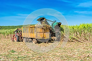 Sugarcane harvest on the field with a combine harvester - Serie Cuba Reportage