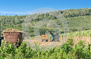 Sugarcane harvest on the field with a combine harvester - Serie Cuba Reportage