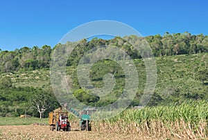 Sugarcane harvest on the field with a combine harvester - Serie Cuba Reportage