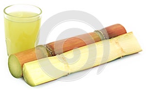 Sugarcane with juice photo