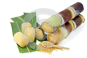 Sugarcane with leaves and granulated brown sugar on white background.