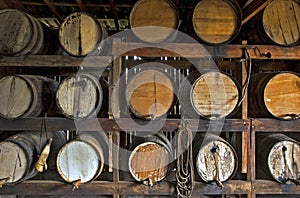 Sugarcane liquor, or cachaca, resting in cask