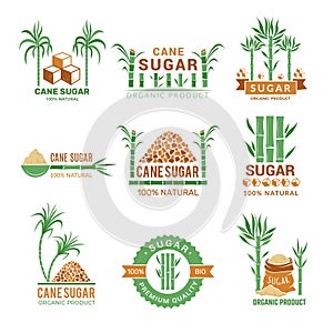 Sugarcane manufacturing. Sweets plants production farm industry leaf vector badges or labels with place for your text