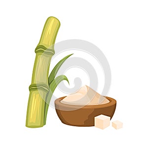 Sugarcane Organic Cartoon Illustration Vector
