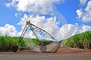 Sugarcane plantation field with gravel road and irrigation device in between