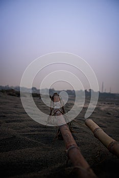 Sugarcane in Sand photo