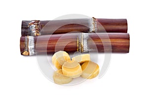 Sugarcane on white background.