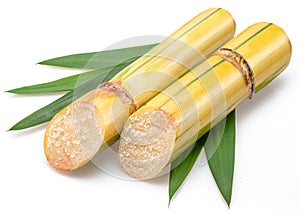 Sugarcanes stalks with sugar cane leaves isolated on white background