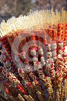 Sugarcoated haws on a stick photo