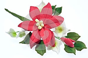 Sugarcraft Pointsettia