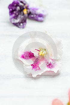 Sugared or Crystallized Violet Flowers