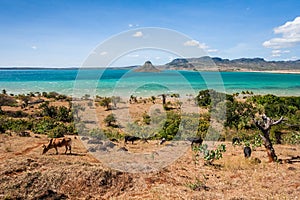 The sugarloaf of Antsiranana bay