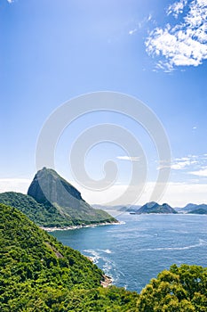 Sugarloaf Mountain Greenery and Guanabara Bay Rio