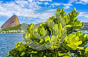 Sugarloaf mountain PÃ£o de AÃ§ucar panorama Rio de Janeiro Brazil