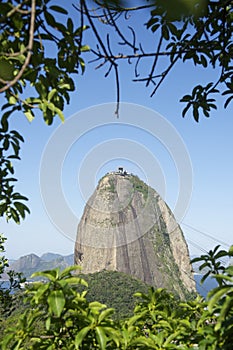 Sugarloaf Mountain Rio Brazil Greenery