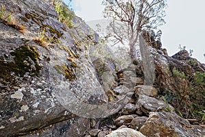 Sugarloaf Peak Hike near Marysville in Australia