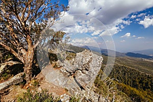 Sugarloaf Peak Hike near Marysville in Australia