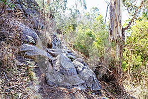 Sugarloaf Peak Hike near Marysville in Australia