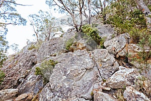 Sugarloaf Peak Hike near Marysville in Australia