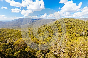 Sugarloaf Peak Hike near Marysville in Australia