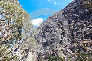 Sugarloaf Peak Hike near Marysville in Australia