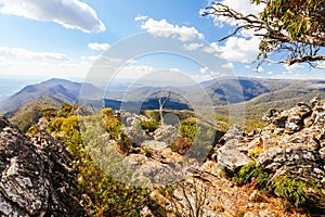 Sugarloaf Peak Hike near Marysville in Australia