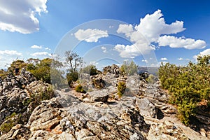 Sugarloaf Peak Hike near Marysville in Australia