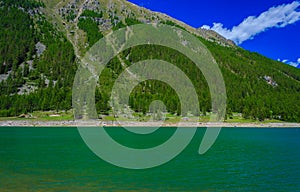 A suggestive green mountain lake along a slope covered with pine trees in the National Park of Great Paradise,in Piedmont,Italy