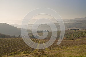 Suggestive panorama vista of the Tuscan countryside photo