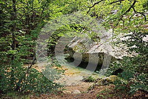 Suggestive stream of Val Fondillo, a place in Abruzzo perfect for excursions in the woods.