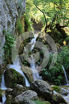 Suggestive stream of Zompo Lo Schioppo, a place in Abruzzo perfect for excursions in the woods.
