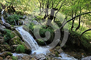 Suggestive stream of Zompo Lo Schioppo, a place in Abruzzo perfect for excursions in the woods.