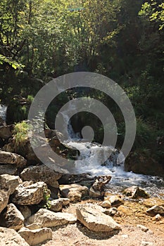 Suggestive stream of Zompo Lo Schioppo, a place in Abruzzo perfect for excursions in the woods.
