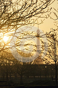 Suggestive View of the Eiffel Tower through Branches at Sunset