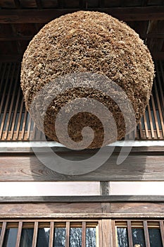 Sugidama, ball made from sprigs of Japanese cedar, traditionally hung in the eaves of sake brew