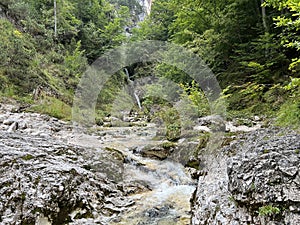 The Suhi potok Stream or Dry Creek in Zadnja Trenta, Bovec (Triglav National Park, Slovenia) - Der Bach Suhi potok photo